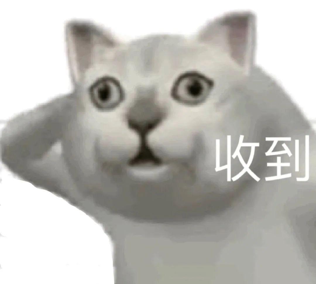 新增mur猫表情包 - 知乎