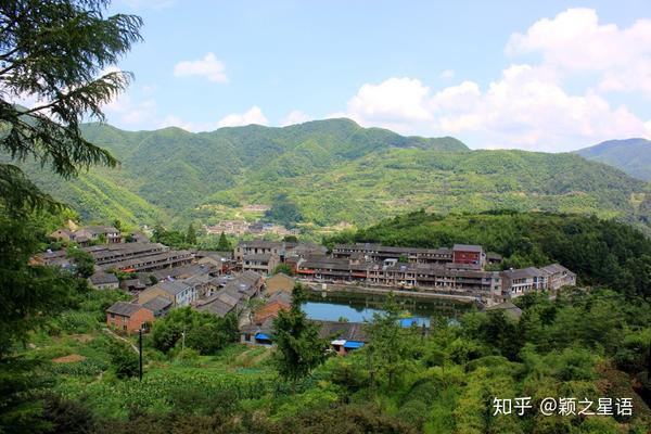 08 章水镇杜岙村