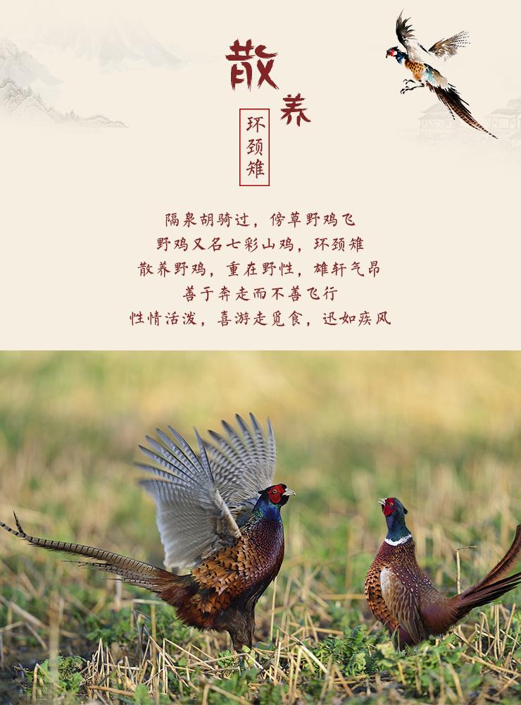 野鸡汤对产妇的好处宝妈赶快补起来