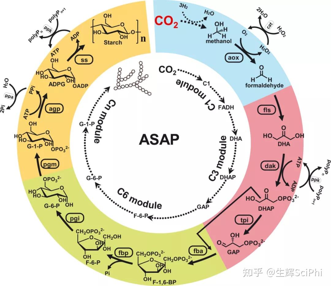 CO2生物利用技术将助力碳中和，多种突破性技术商业化前景可期 - 知乎