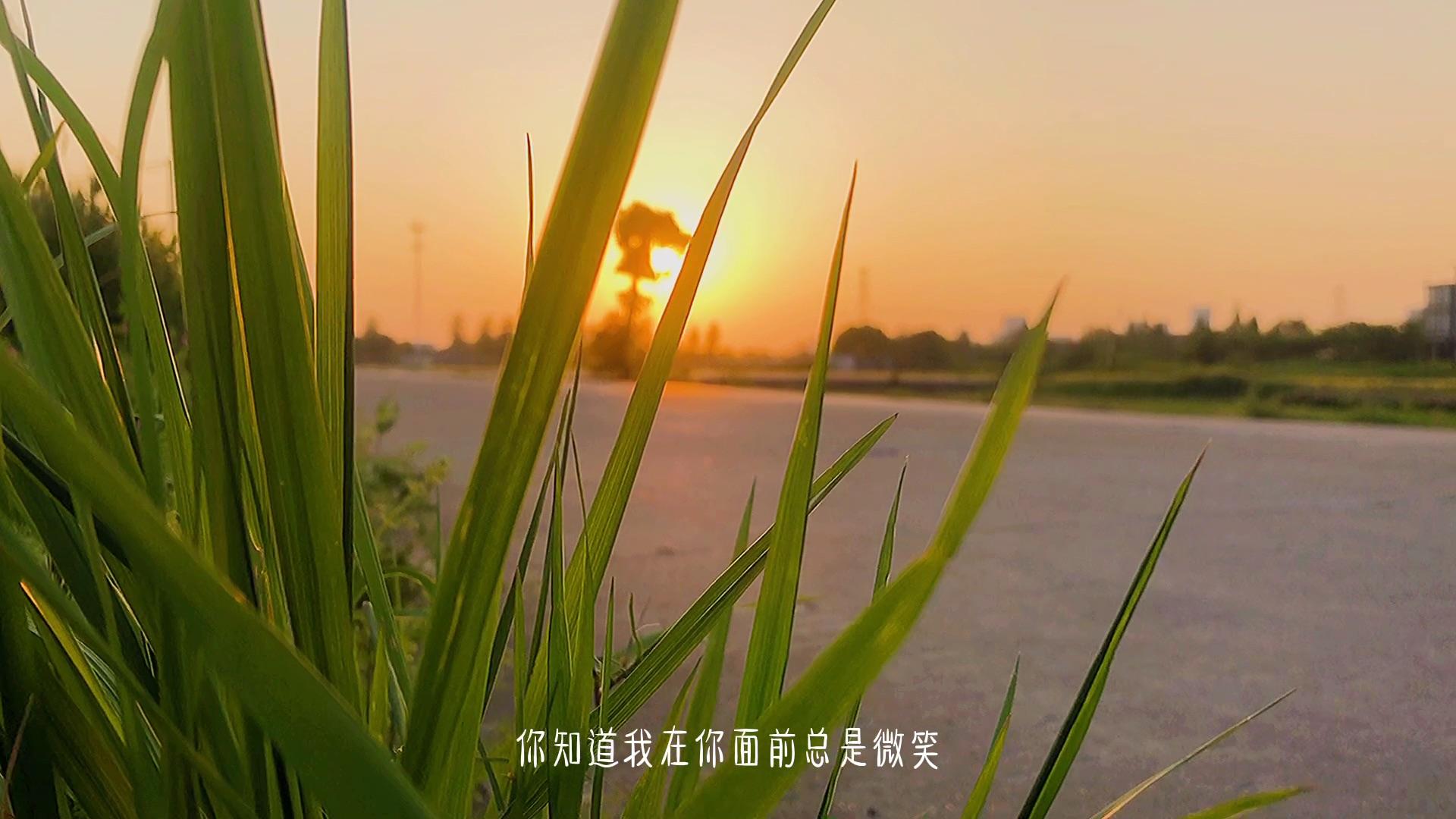 这一生风雨兼程,就是为了遇见更好的自己,如此而已