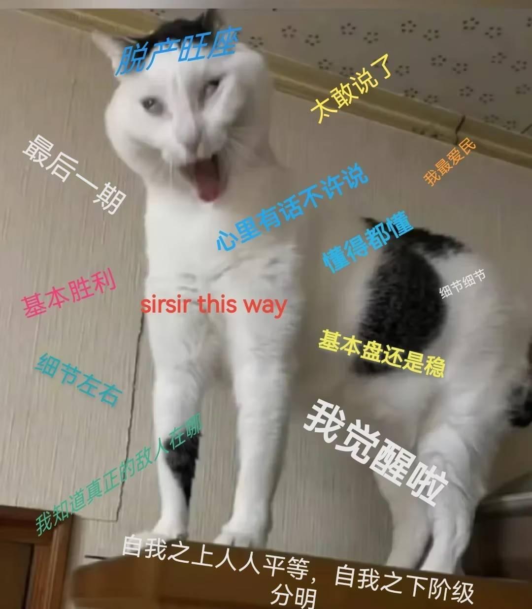 【图吧杂谈】论垃圾佬为何不能参团极吧湾横评事件 - 知乎