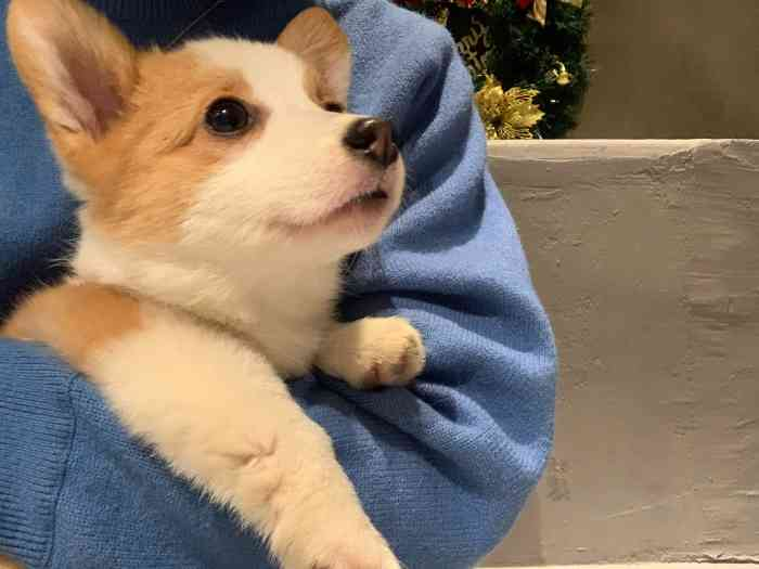 知乎上最全的厦门攻略:吃住行完保姆级攻略!三日游1200元搞定!五一就去这儿了!-厦门攻略自由行及路线