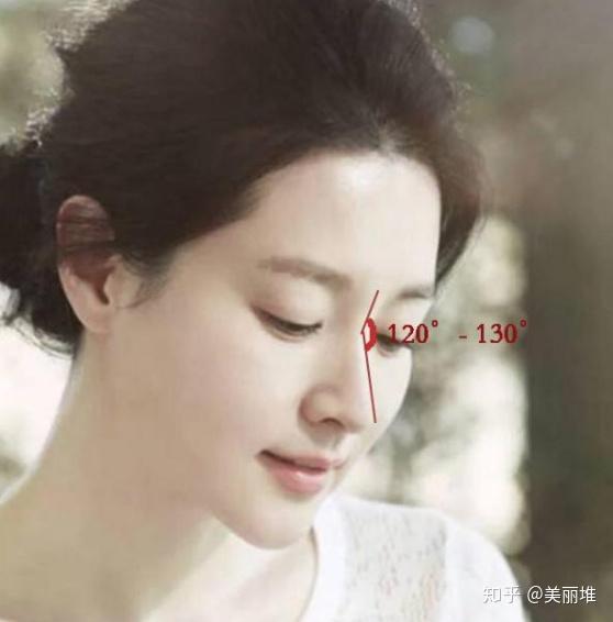 水滴鼻要满足的特征:① 120-130度的鼻额角;特征:鼻背线条直挺,轮廓感