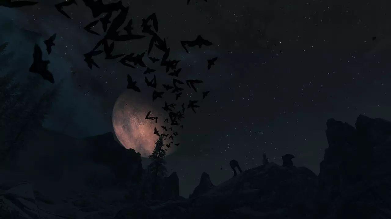 月亮节|你听那月之暗面