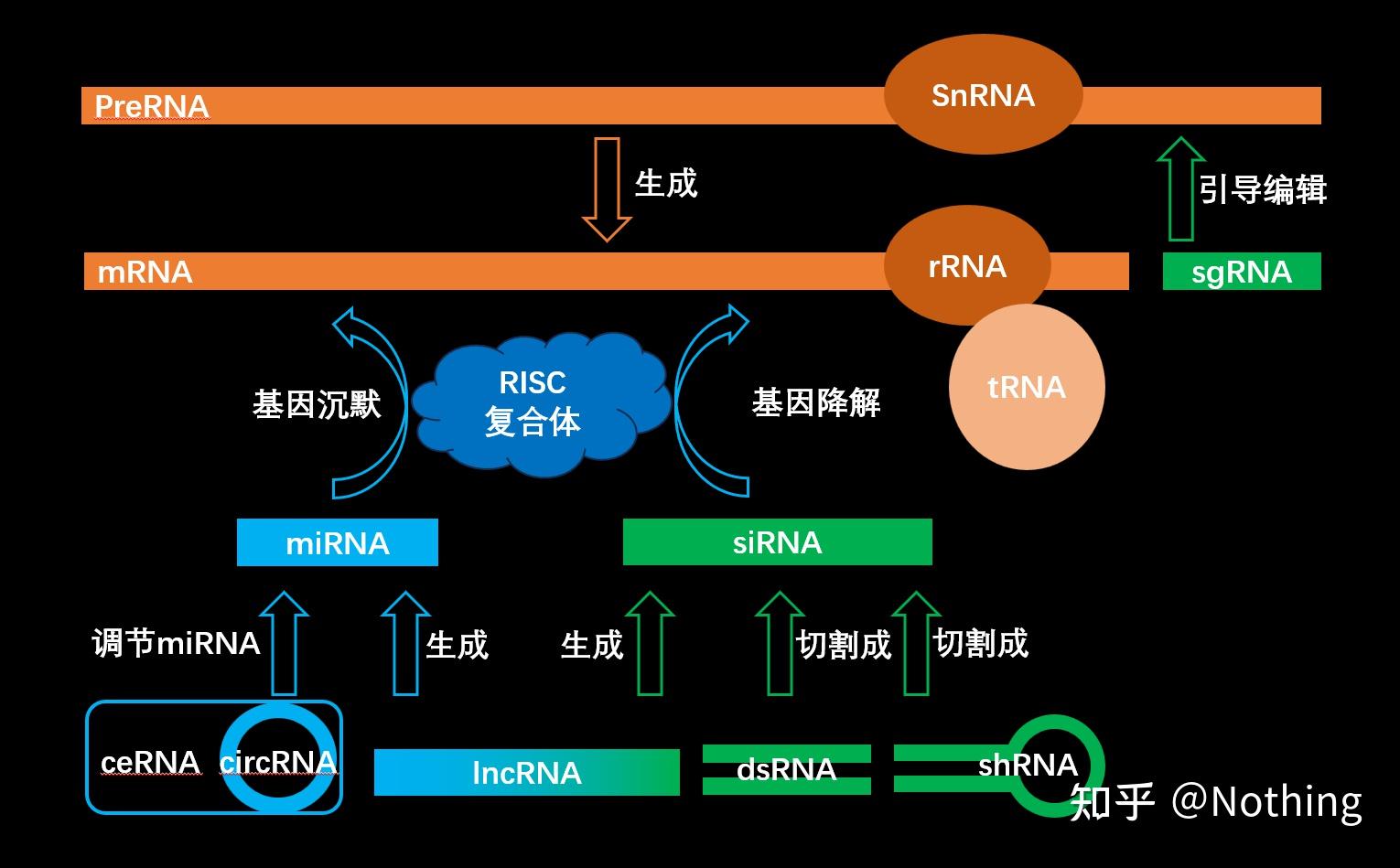 组学-基因组、转录组、蛋白组、生信分析都有哪些内容？（一） - 知乎