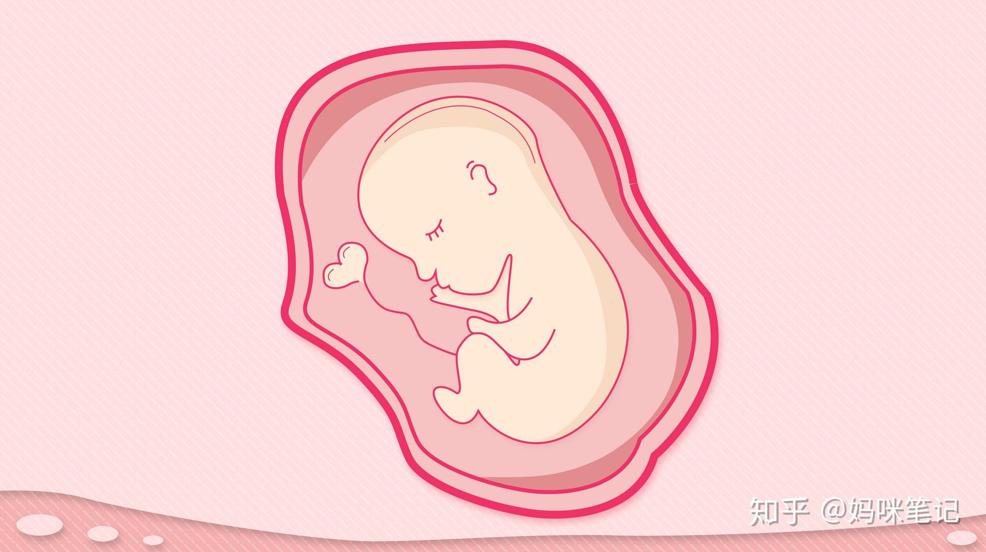 帮忙看下孕16周彩色B超图 今天带老婆去医院检查，主要是想看看胎儿的发育情况（排畸、唐筛） - 百度宝宝知道