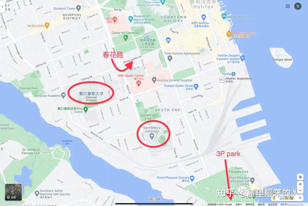 加拿大halifax3第一天春花路