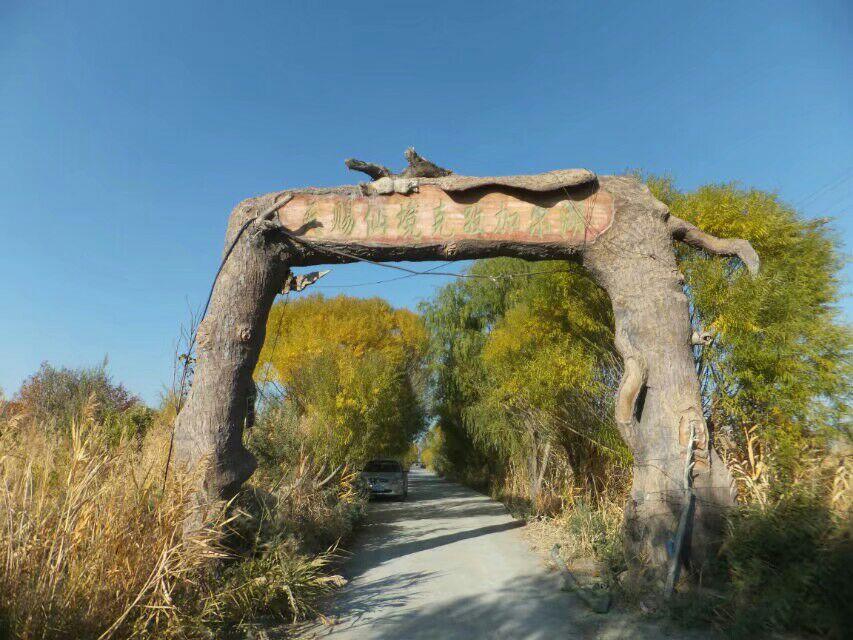 中国最美村镇古尔图镇