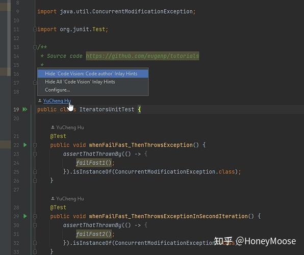 IntelliJ IDEA 2022 年版本中的作者提示 - 知乎