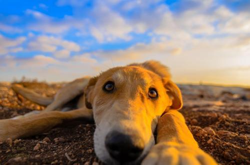 我想休息一下用英语怎么说?别用give me