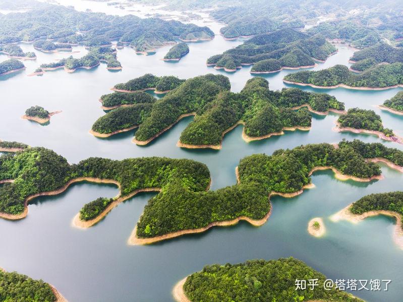 浙江流入人口最多的市_浙江大学