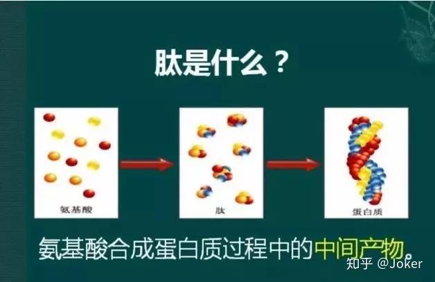 v2-e977064fa2436521ce4378d1807255cb_r.jpg