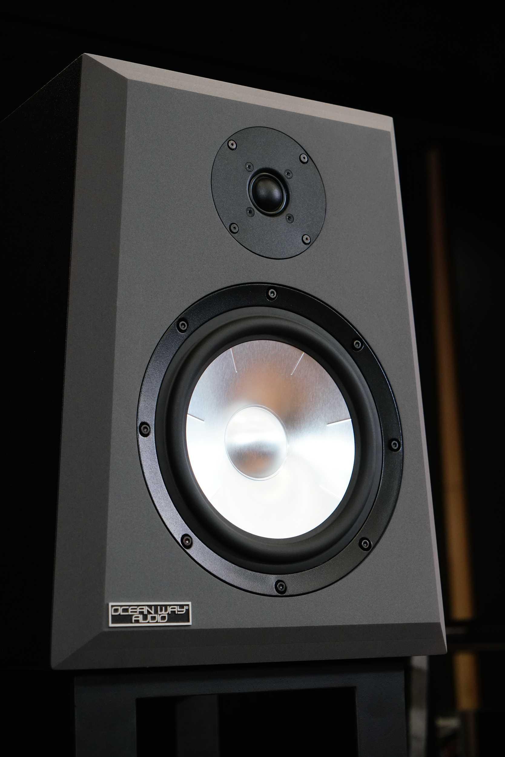 专业hifi两相宜美国大洋路pro2a主动监听音箱