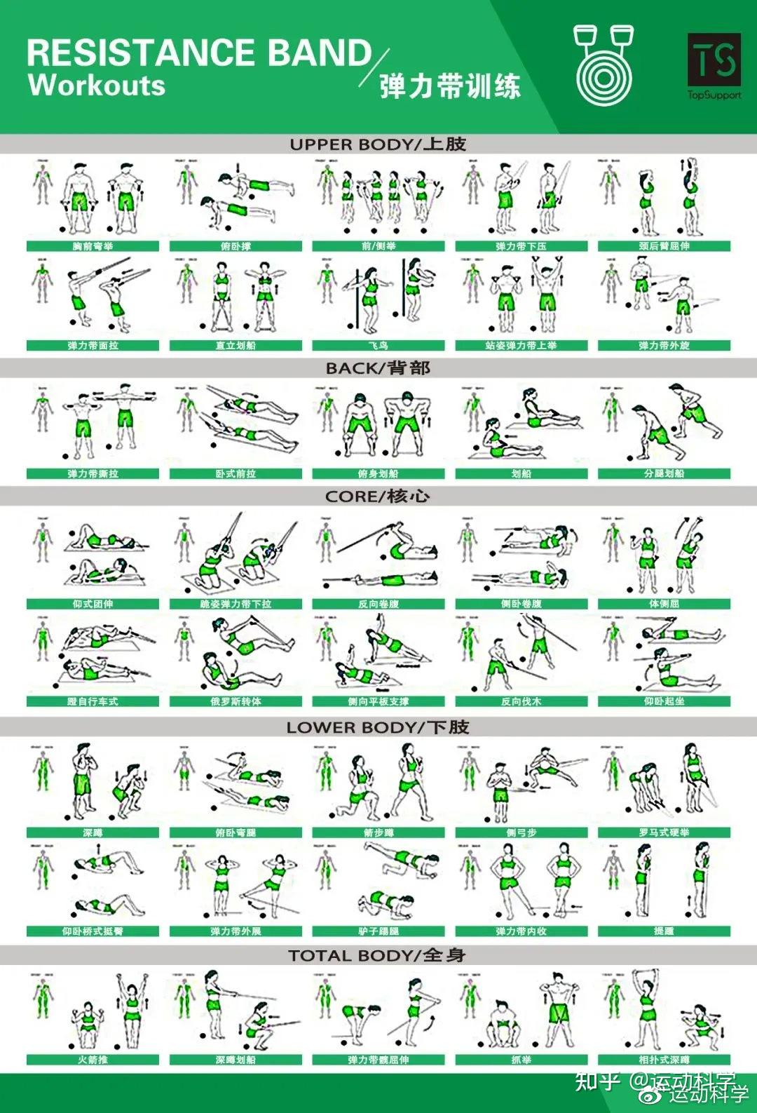 体能训练动作库图解大全