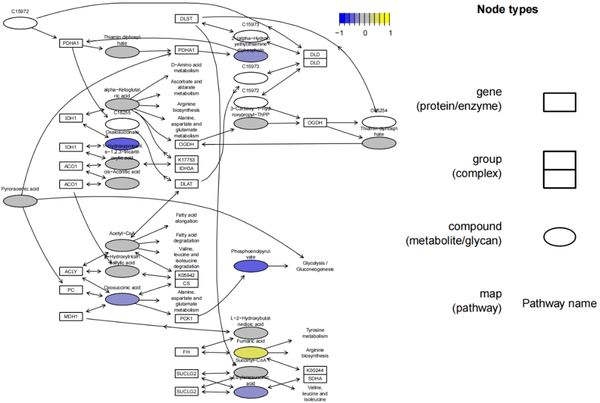 干货分享 | 实现通路与组学数据的结合，一个pathview就够啦！ - 知乎