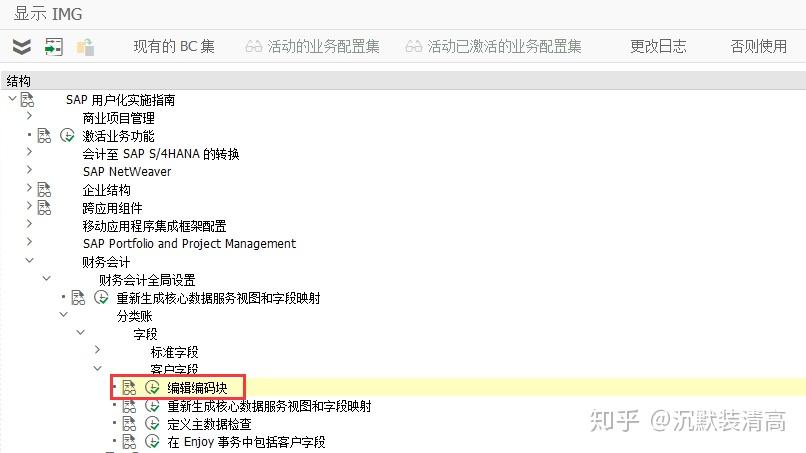 SAP coding block激活 - 知乎