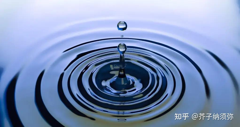一个顶级的强者思维：空杯心态 - 知乎