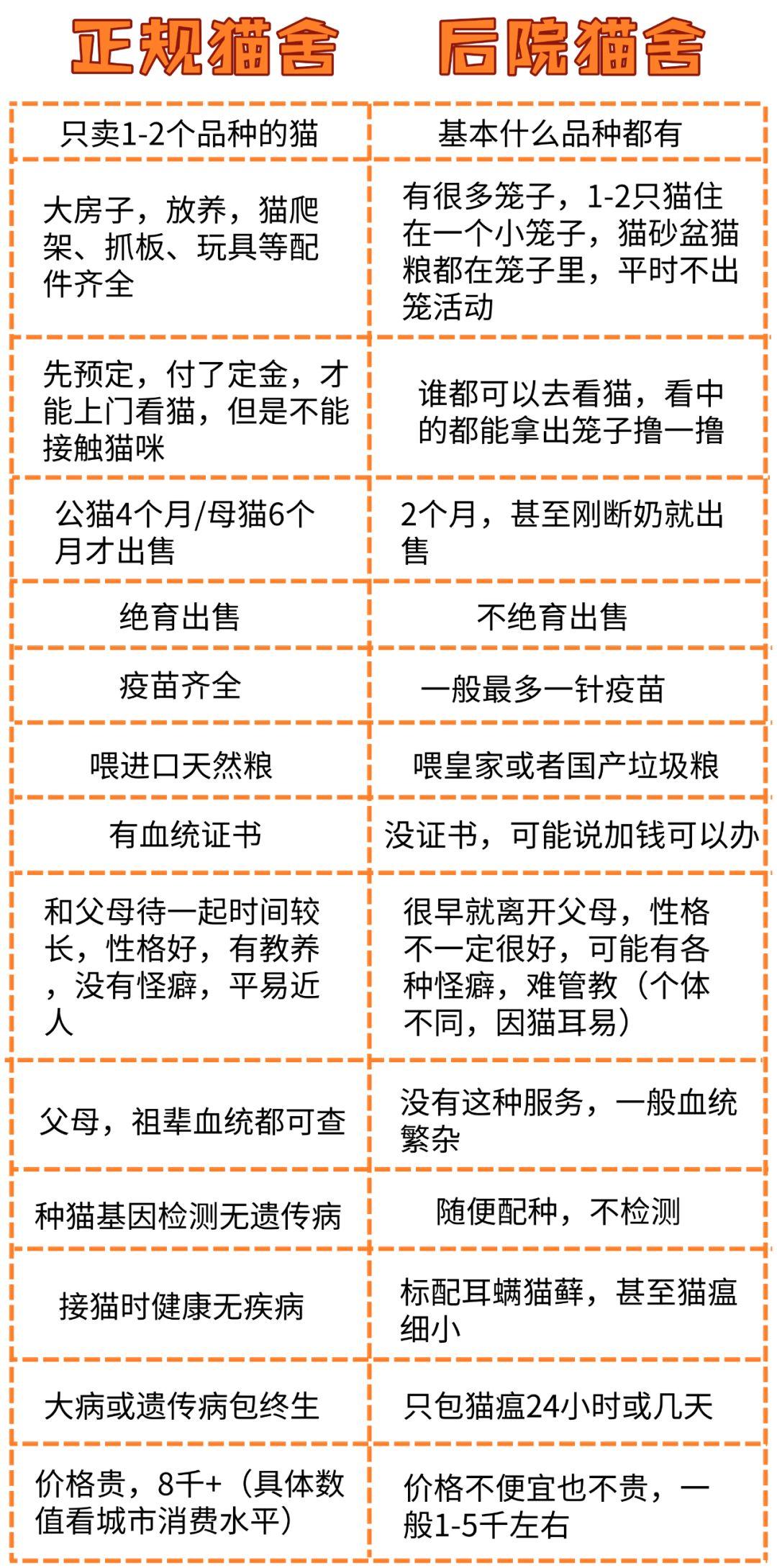 近亲繁殖肉爪溃烂后院猫舍究竟有多可怕