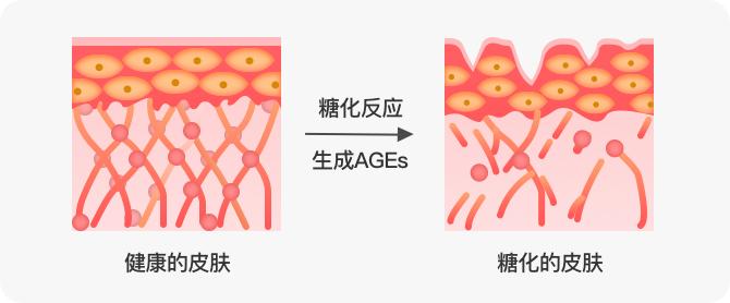 抗糖化不是伪概念但你需要知道这些才不会掉坑里