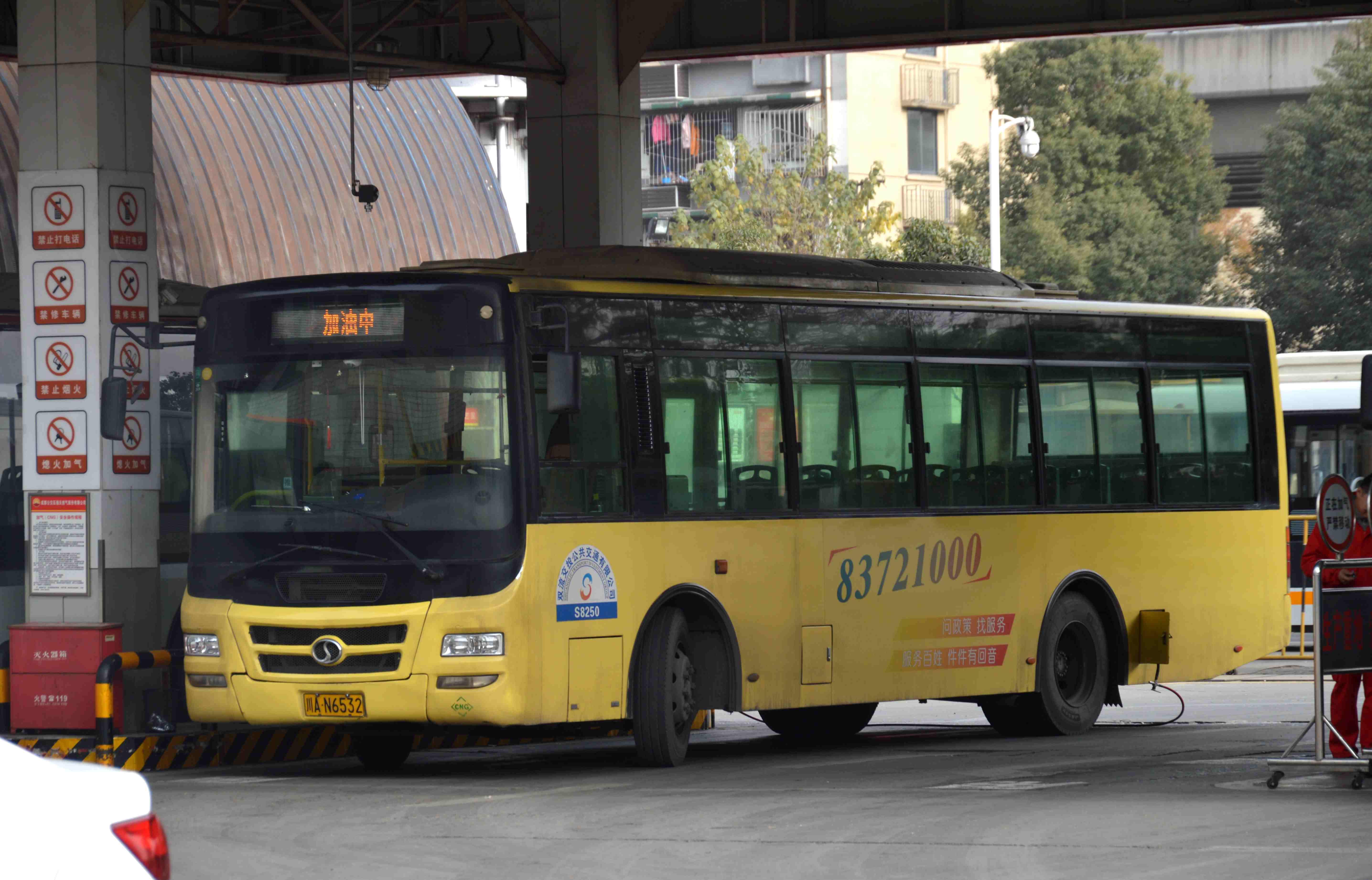 元旦假 蓉城行 - 知乎