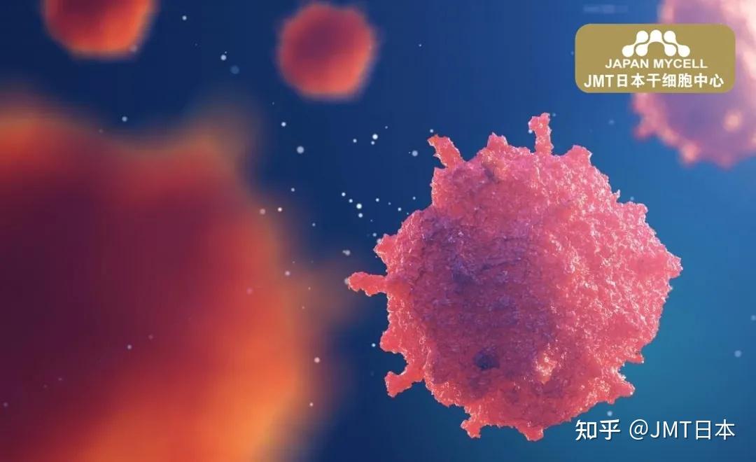 jmt日本干细胞癌症干细胞的动态