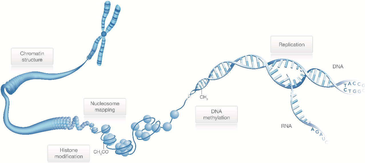 癌症基因组学研究全程回顾