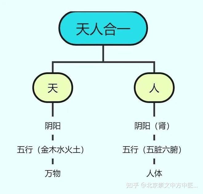 基于太极阴阳:“天人合一”的人体结构与功能模式(附图解) - 知乎