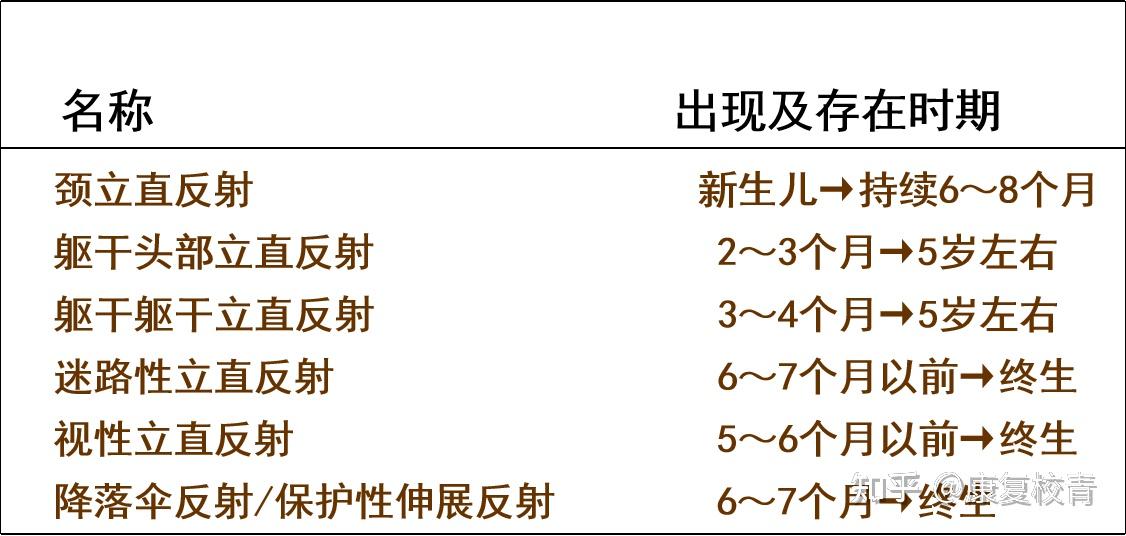 发育性反射图片