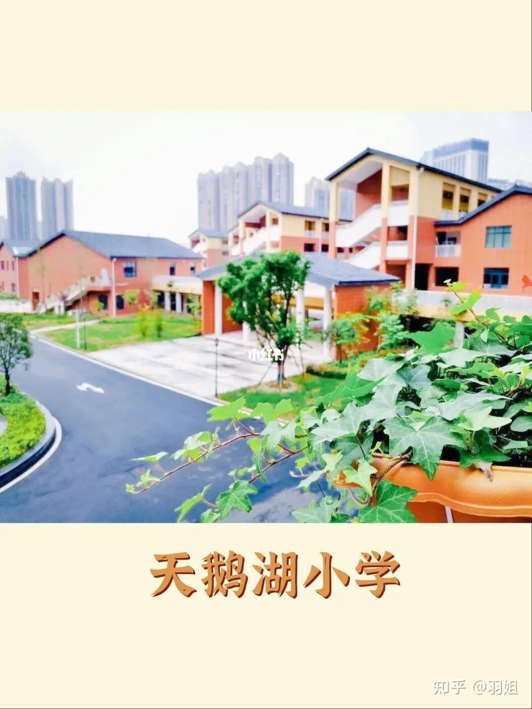 是父母和孩子的户一,要提早落户这些学校天鹅湖小学,向阳桥小学龙泉驿