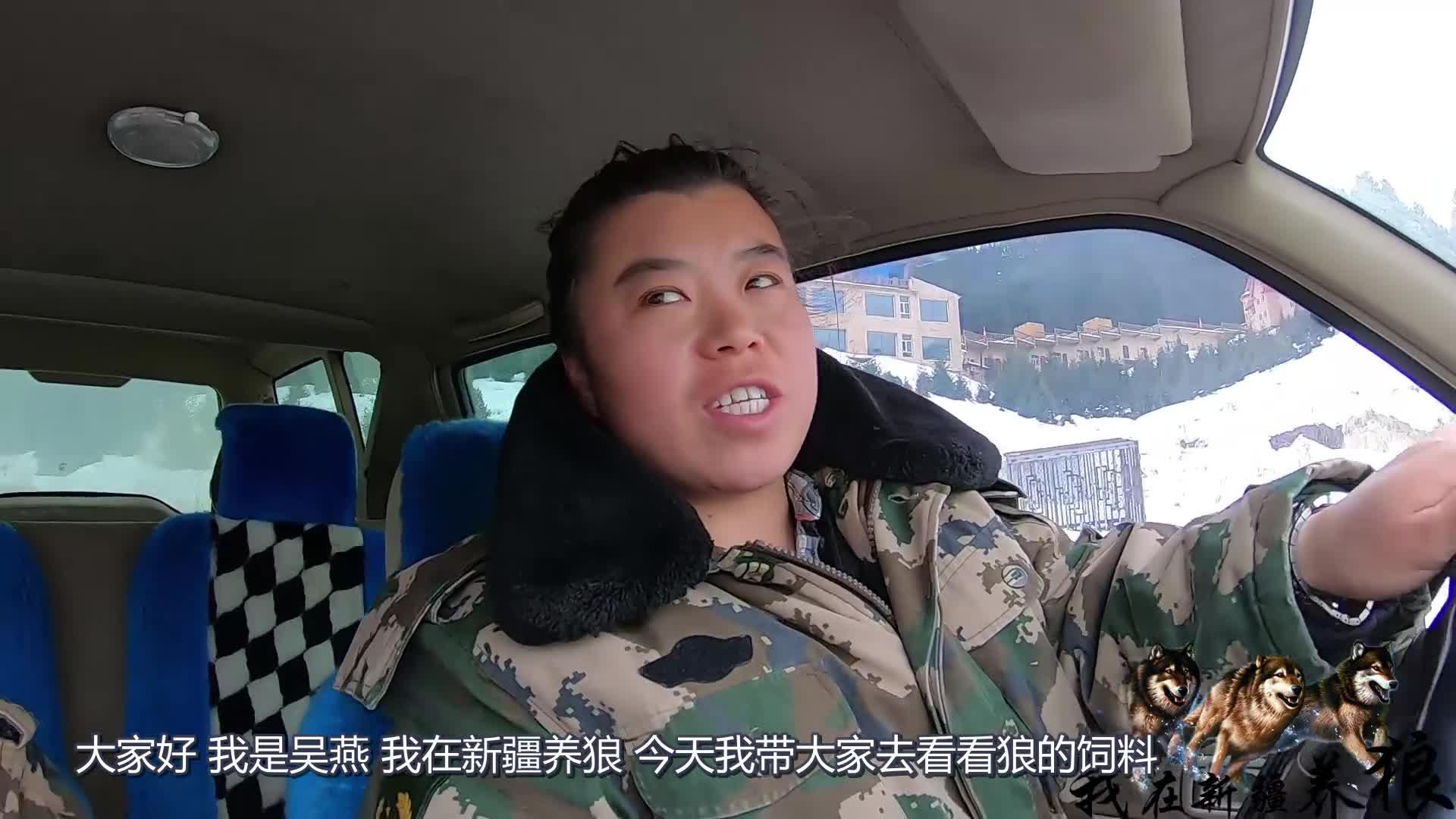 油菜地救回的几只鸟它们很喜欢吃主人喂的食物