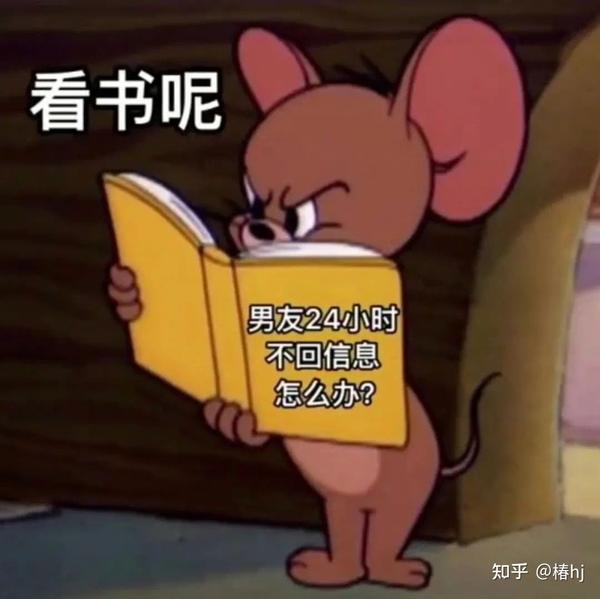 对付男朋友不回消息的表情包 知乎