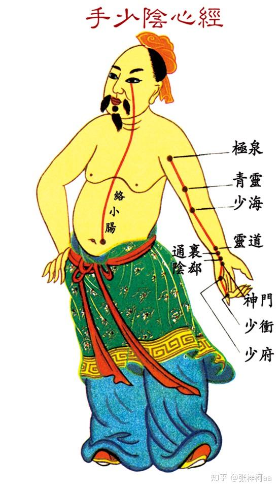 十二经脉循行路线及穴位定位 - 知乎