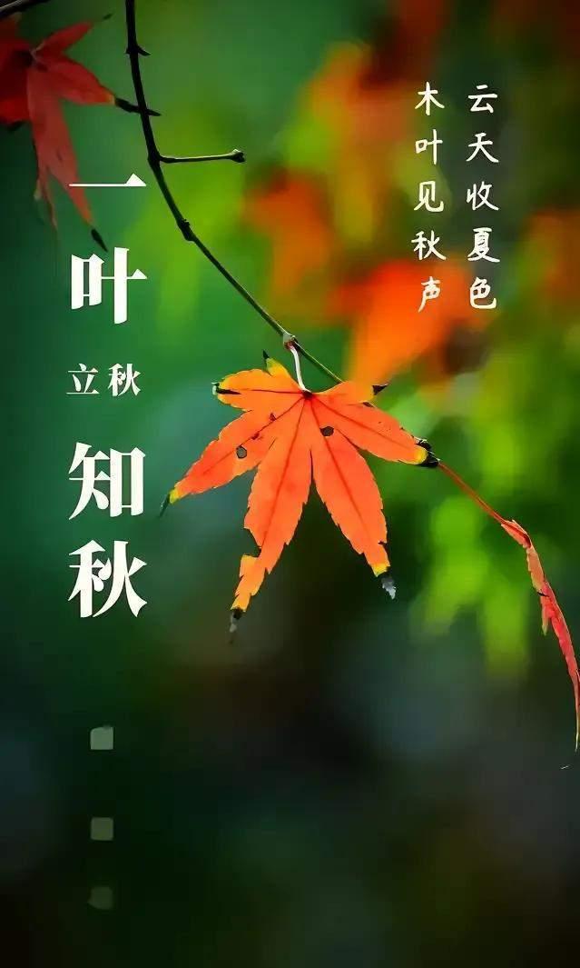 明日立秋：云雨缠绵收夏色 时光清浅流年歌 - 知乎
