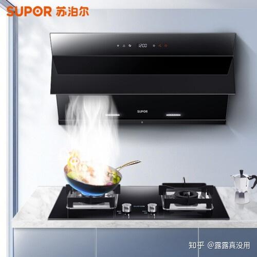 油烟机哪个品牌好性价比 v2-ea65f62314ccc800d43968c91ae24c3f_r.jpg