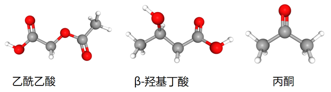 Nature及子刊通过多组学揭秘生酮饮食抗癌和减肥机制 - 知乎