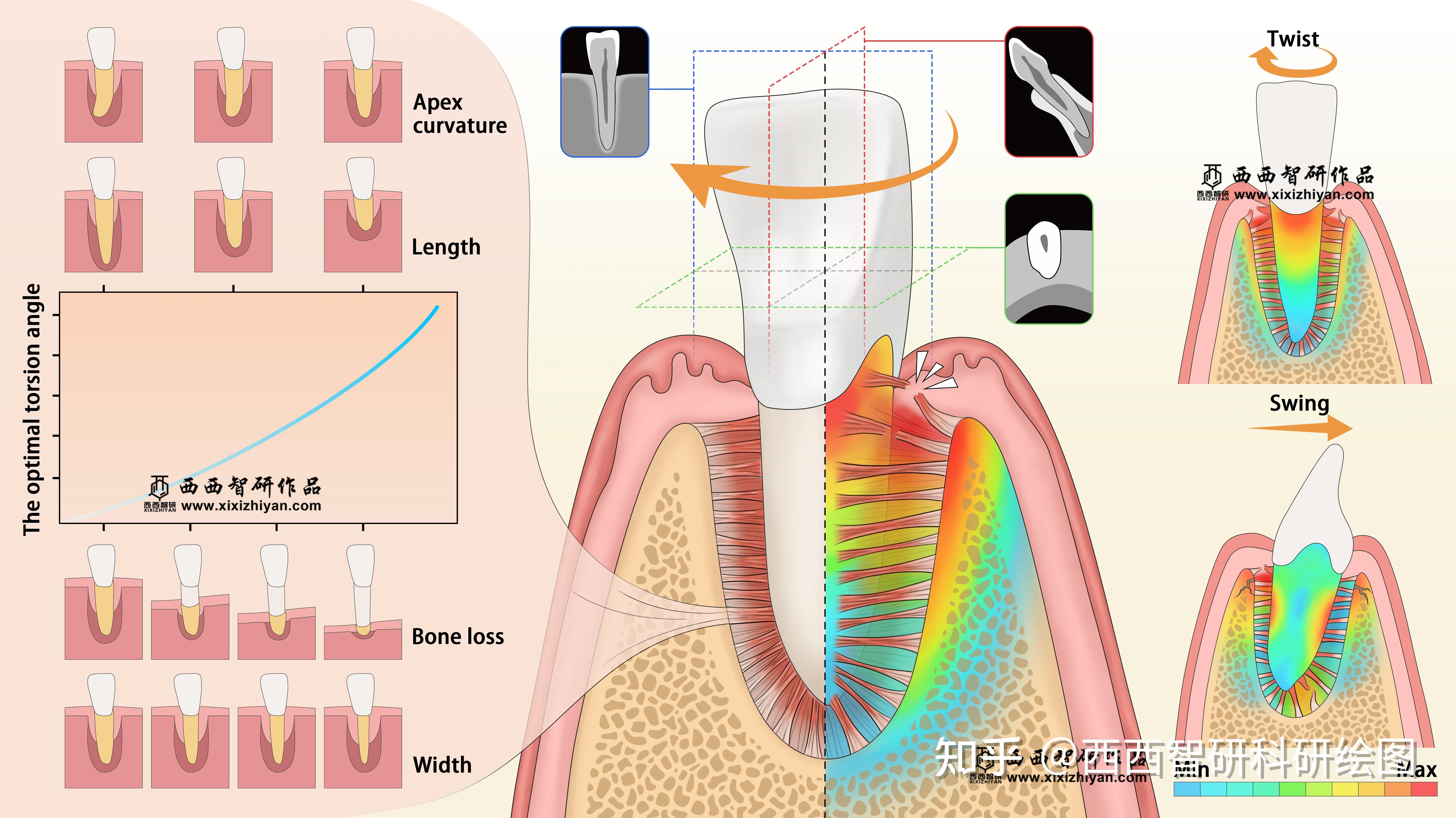 韩国朋友的姐姐意外走红网络，一夜之间吸引百万粉丝关注，网友惊叹其独特魅力，引发全网热议纷纷。