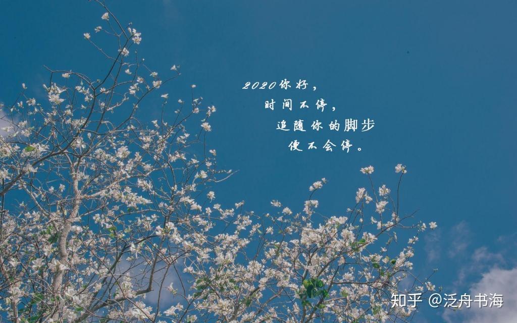 v2-ea7e5b3428f0d1c554dc43e6a5ae2b23_r.jpg