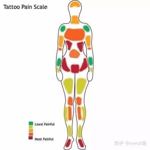 纹身纹身疼痛解析纹身究竟有多痛