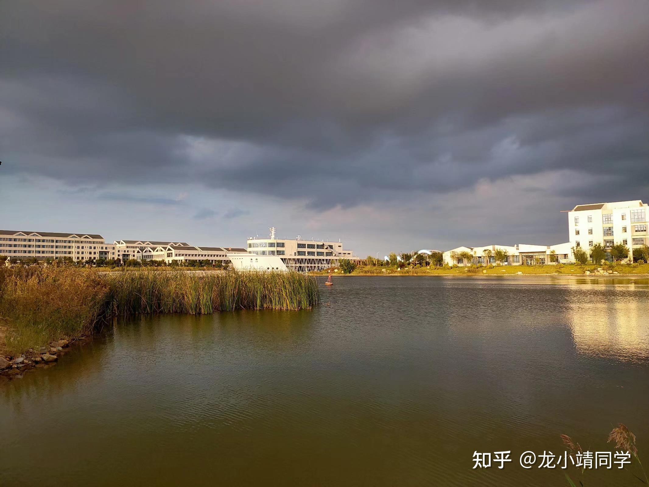 山东交通学院威海图片