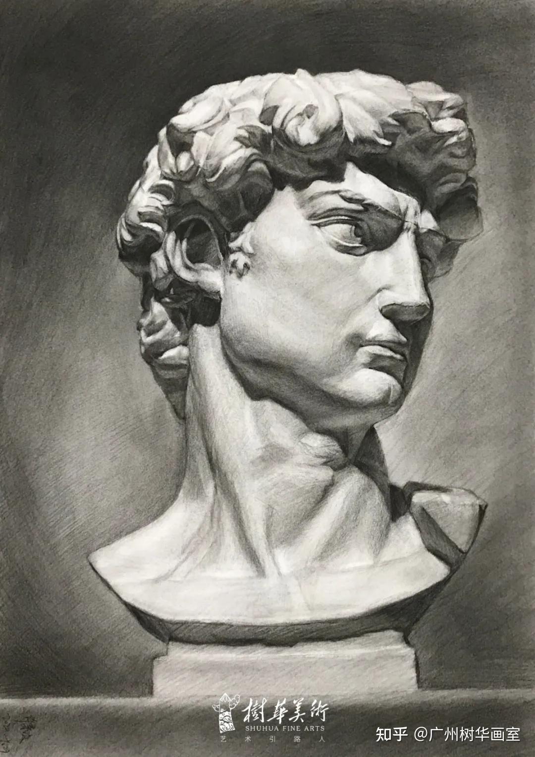 美术生常画的石膏像背后的故事大卫篇人体完美的和谐