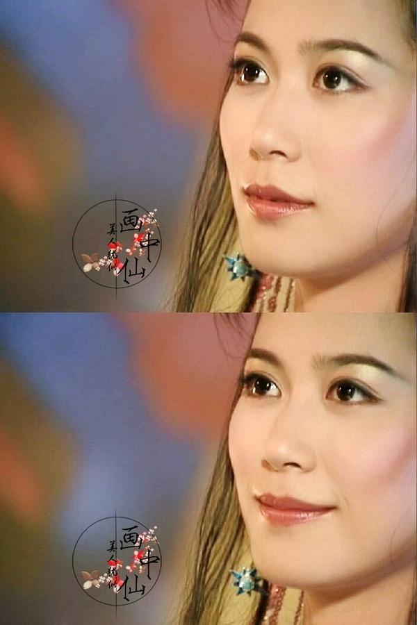 给我妈看时,我偶尔有时间会瞄上几眼,然后就被俞飞鸿的容颜迷住了