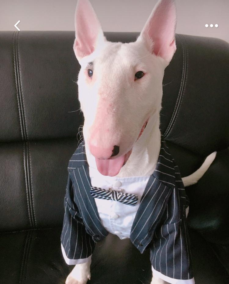 恋人长着一张明星脸是怎样的体验