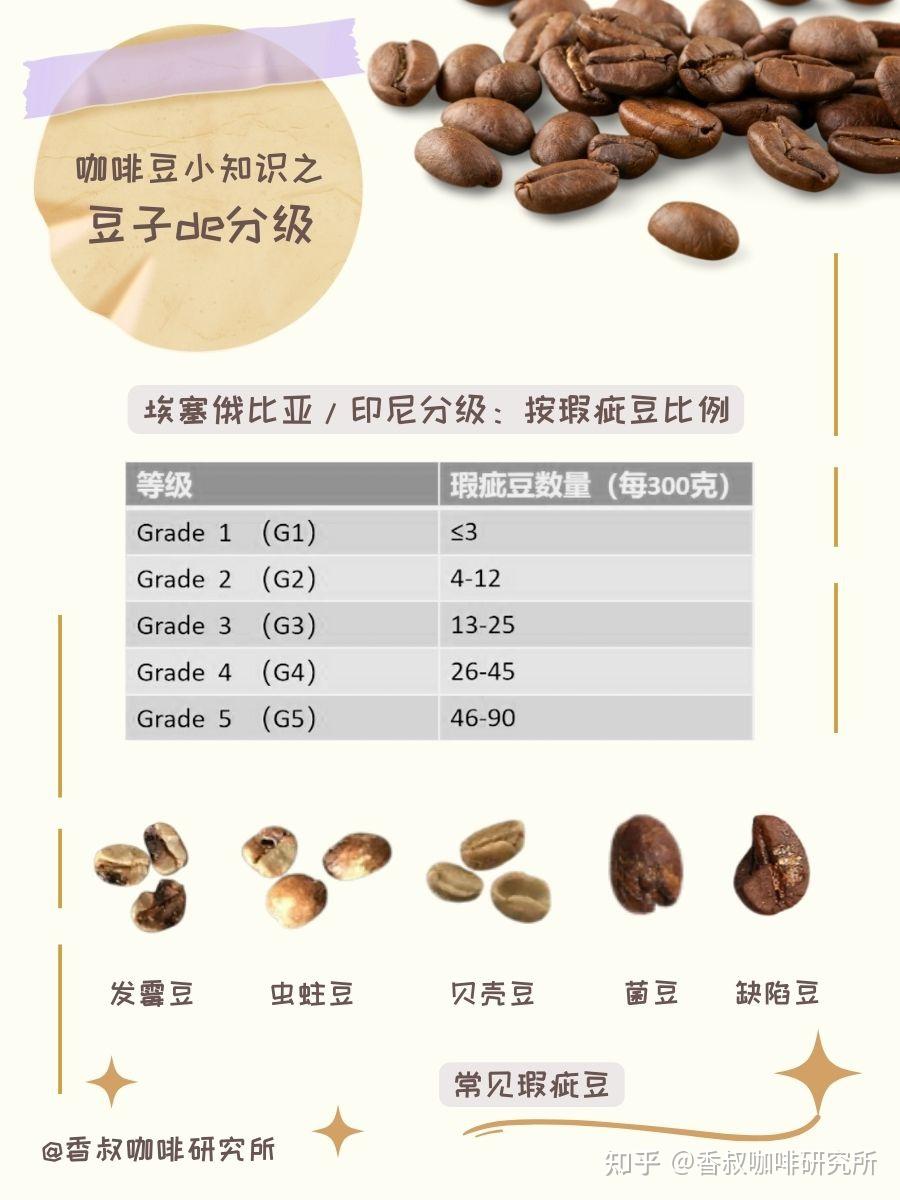 咖啡 豆 種植 條件 (99) 사진