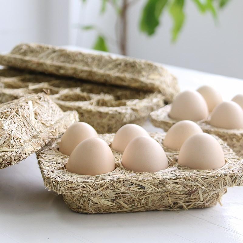 创意鸡蛋包装 减震美观还环保 - 知乎