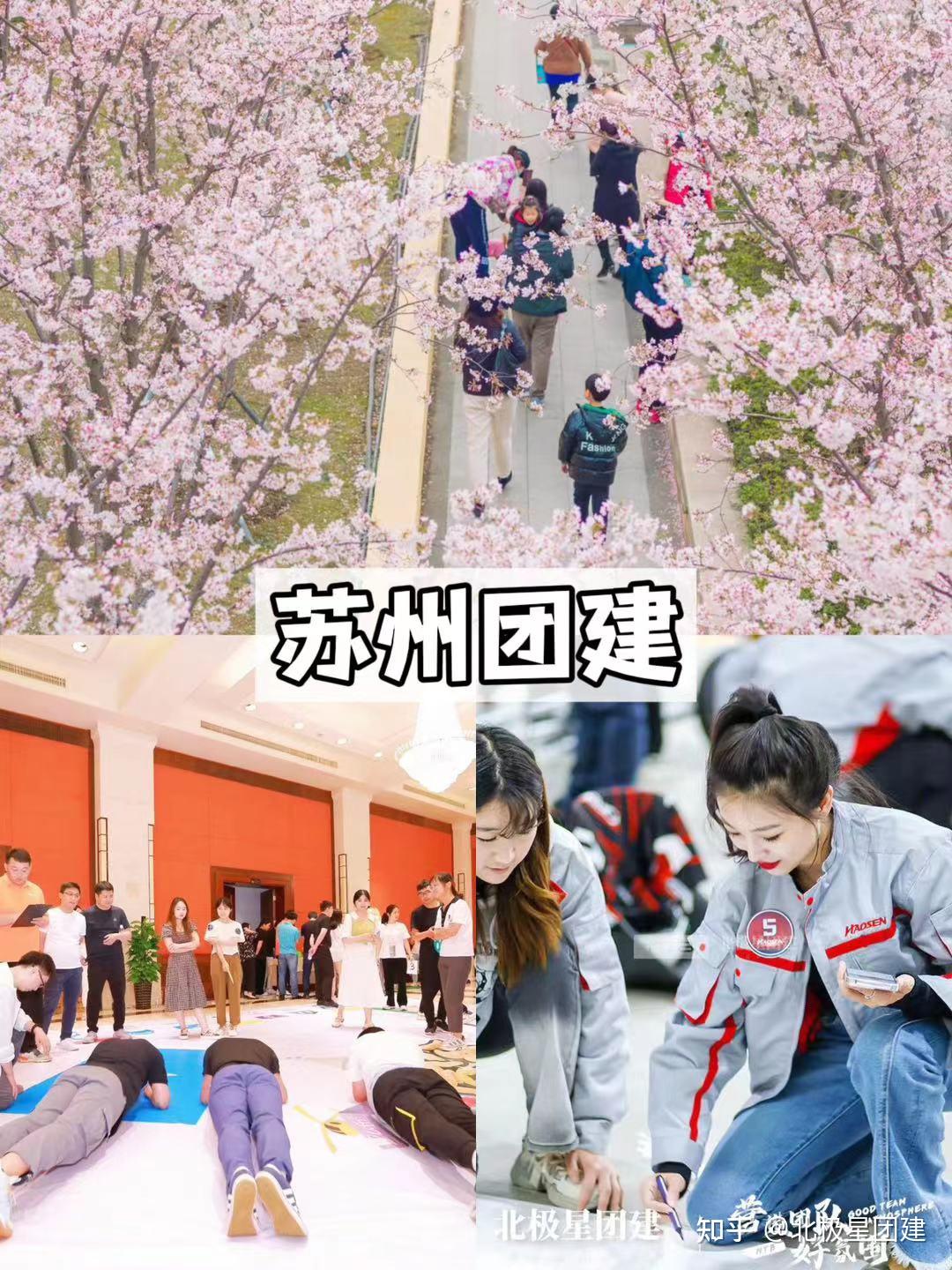 3-6月上海周边团建|看这篇‼️听劝 - 知乎