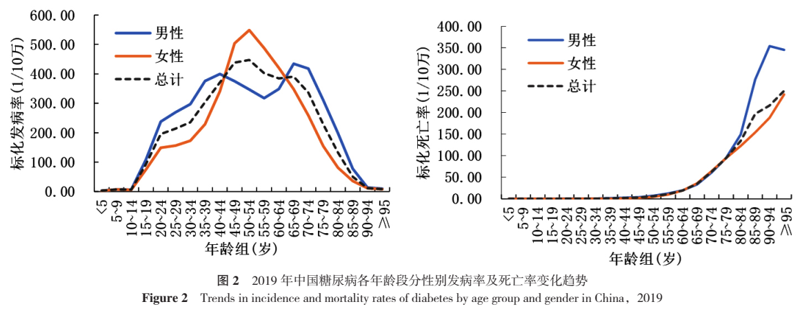 2019年中国糖尿病总计标化发病率在50~54岁年龄组之前呈上升趋势,并于