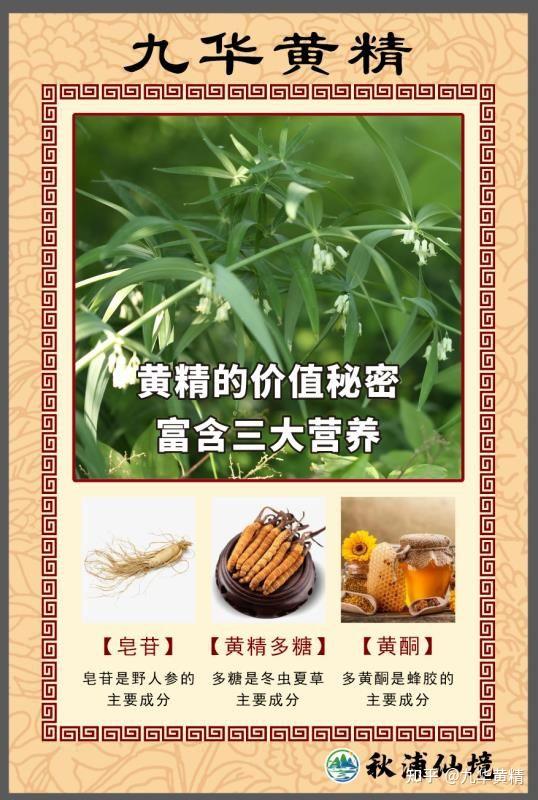 原来吃黄精还有这些好处，快来看 - 知乎