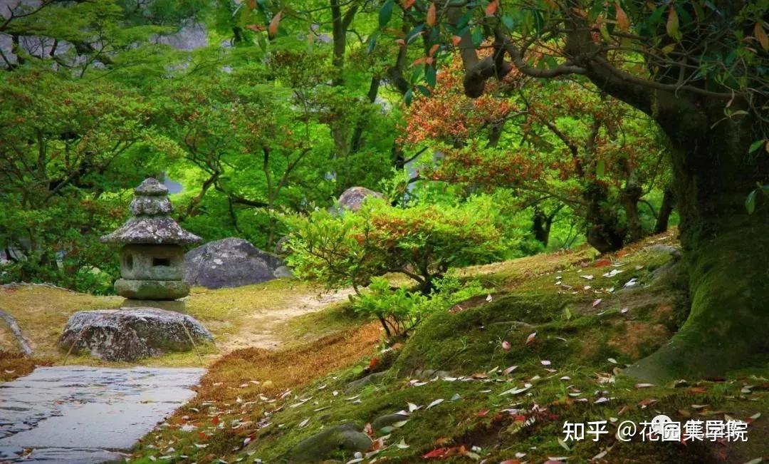 日式庭院该配什么植物？怎么配？看这里~ - 知乎
