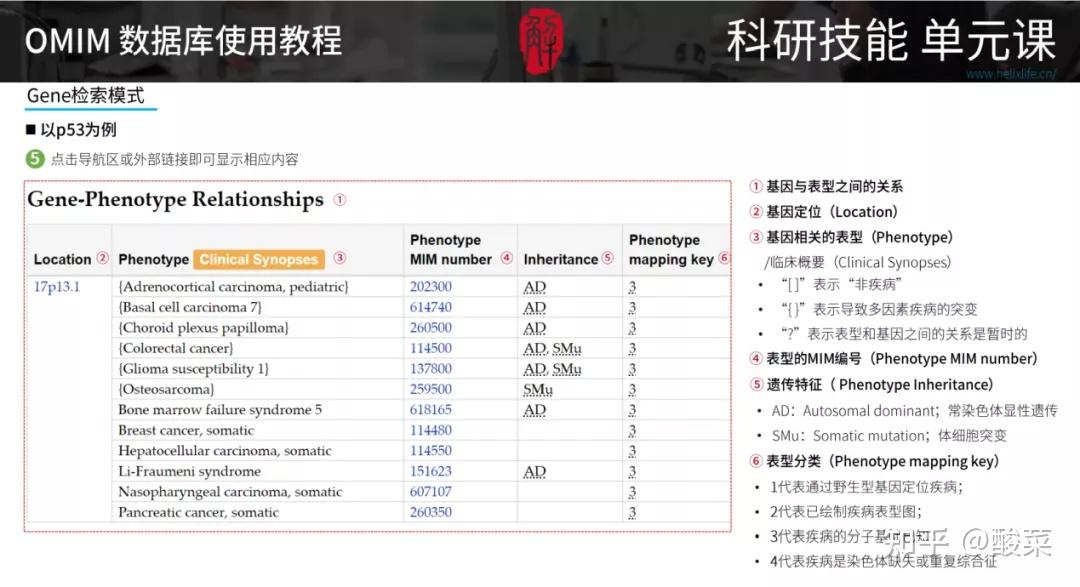 OMIM数据库使用教程免费领!文末免费领! 知乎